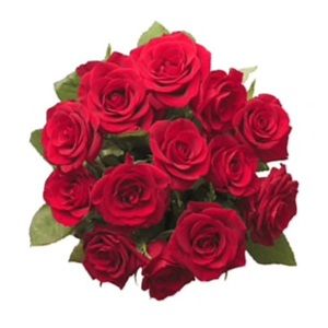 Meet your Posher, Yvette